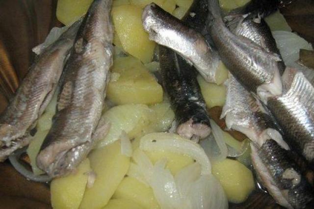 Ряпушка (рыба): рецепты приготовления Ряпушка вкусная ли рыба