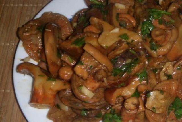 Жареные рыжики - лучшие идеи приготовления вкусных грибных блюд Рецепт рыжиков со сметаной c картошкой